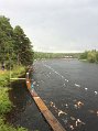 IMG_1733
