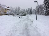 IMG_2240