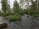 IMG_2637