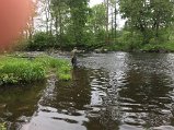 IMG_2639