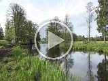 M_IMG_2645