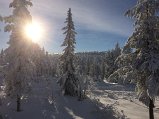 IMG_2426
