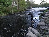 IMG_3601