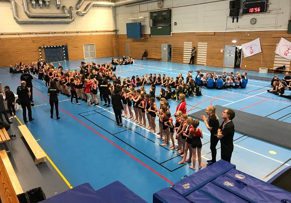 Gymnastik Linnea Ledare