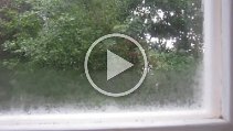 MVI_1088