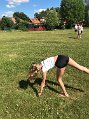 IMG_4982