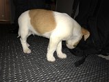 IMG_3346