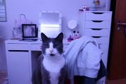 IMG_0093