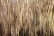 IMG_3548