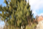 IMG_3549