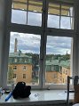 IMG_0091