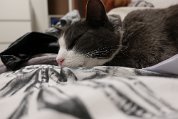 IMG_3470