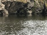 IMG_6163