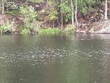 IMG_6164