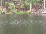 IMG_6165