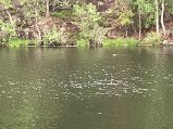 IMG_6166