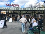 IMG_6049