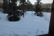 IMG_3484