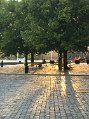IMG_6273