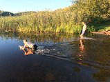 IMG_6605