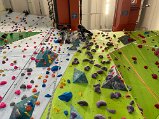 IMG_0281