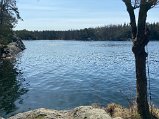 IMG_0347