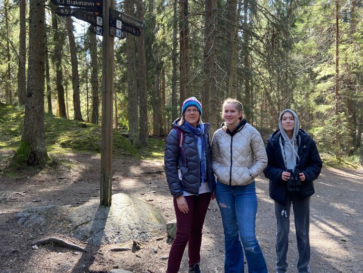 Vandring i Tyresta