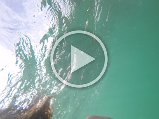 GOPR0142