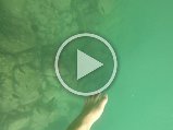 GOPR0144