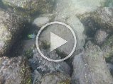 GOPR0148