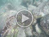 GOPR0149