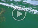 GOPR0158