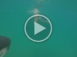 GOPR0159