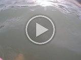 GOPR0169