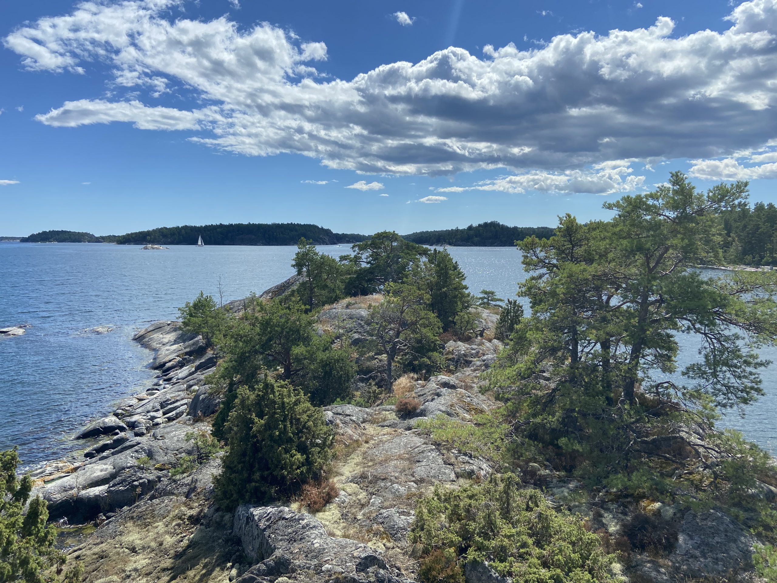 E7F13708-D3D3-4947-AA0C-A38CE448A448