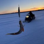 IMG_0046