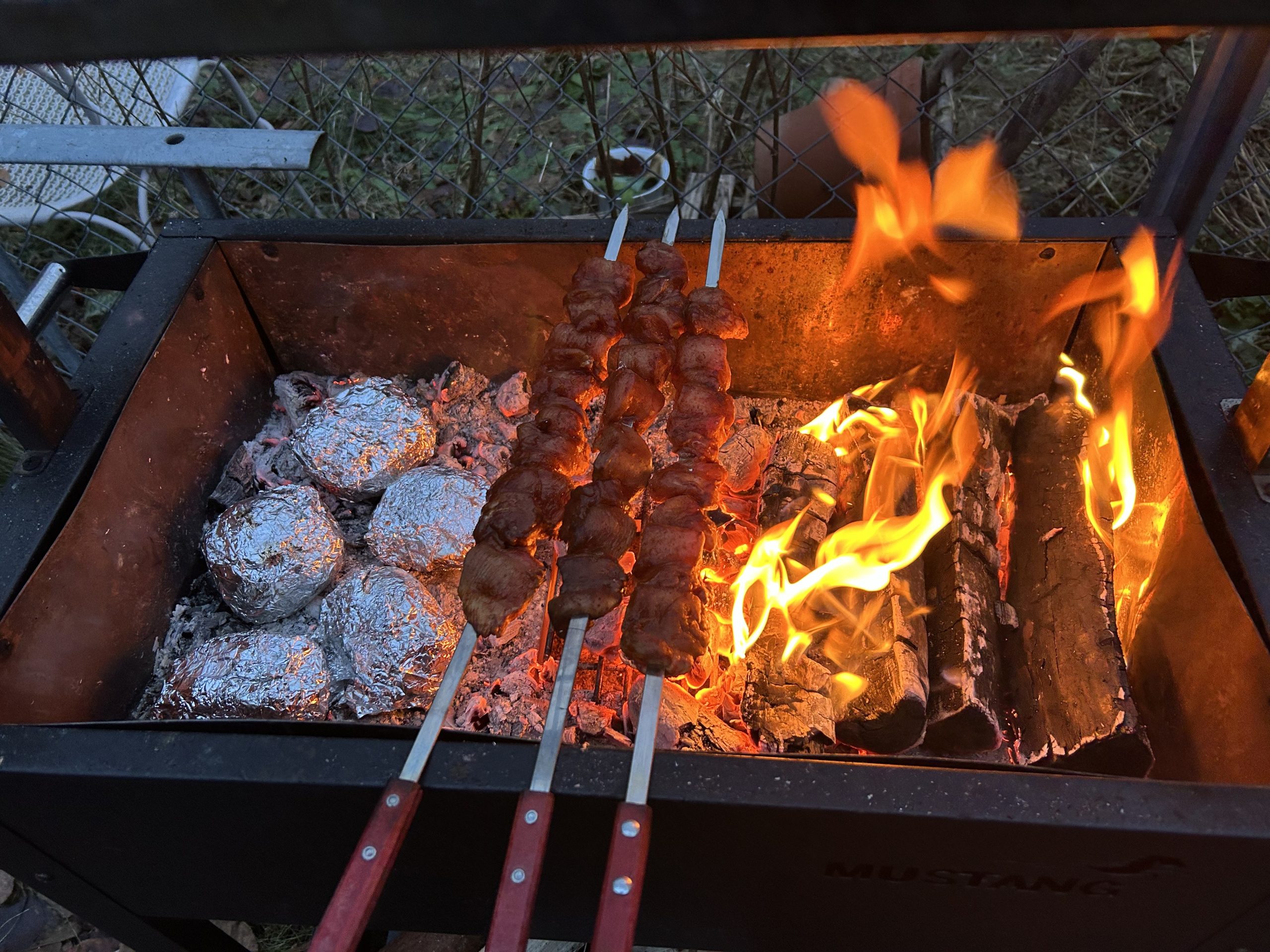 24-03-02-17-23-55-1816