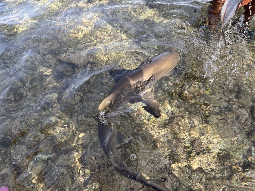 25-11-04 16-08-57 1987