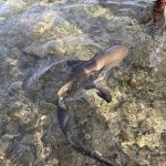 25-11-04 16-08-57 1987