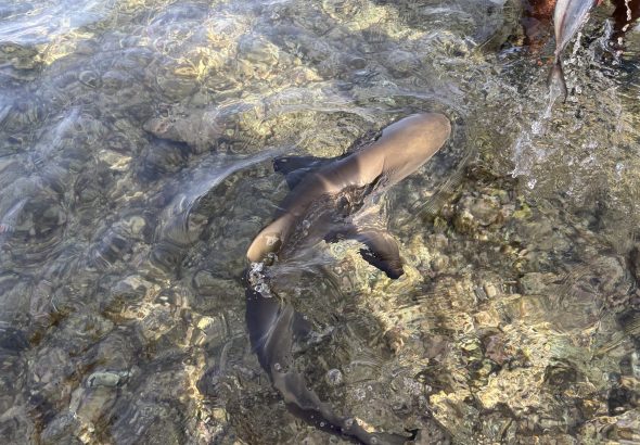 25-11-04 16-08-57 1987