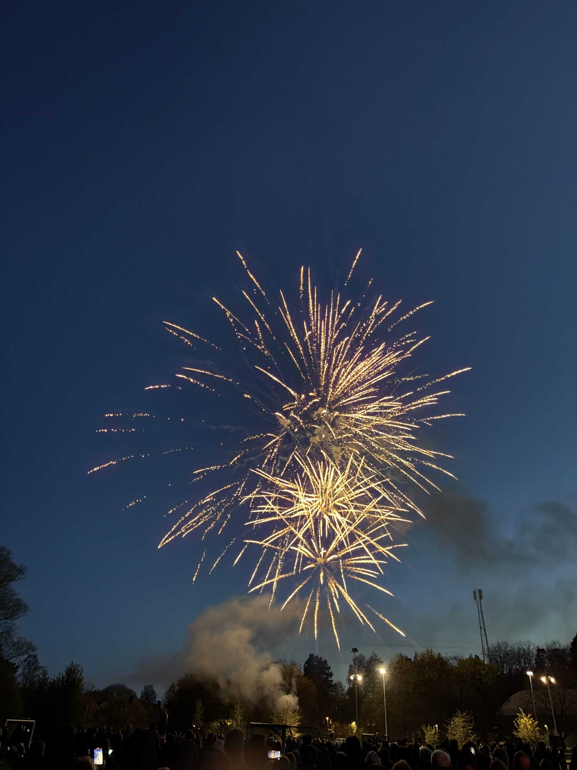 25-04-30 21-38-34 0310